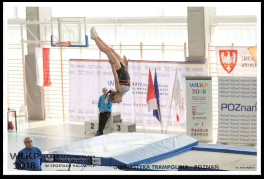 W okresie sprawozdawczym Zarząd Wielkopolskiego Stowarzyszenia Sportowego odbył: 7 protokołowanych zebrań, podczas których podjętych zostało 11 Uchwał w posiedzeniach Zarządu WSS brali udział