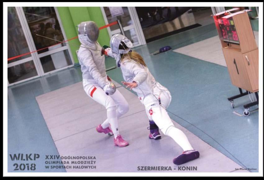 Przedstawienie rocznego sprawozdania merytorycznego z działalności Wielkopolskiego Stowarzyszenia Sportowego za rok 2017 Realizacja Uchwał i