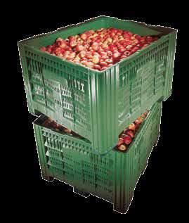 XXL Skrzyniopalety Skrzyniopalety typu Big Box Skrzyniopalety typu Big Box zostały zaprojektowane do zastosowania w rolnictwie lub w przetwórstwie owoców i