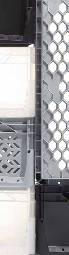 Euro-Norm Lightline Euro-Norm lightline 10 lightline 11 Seria