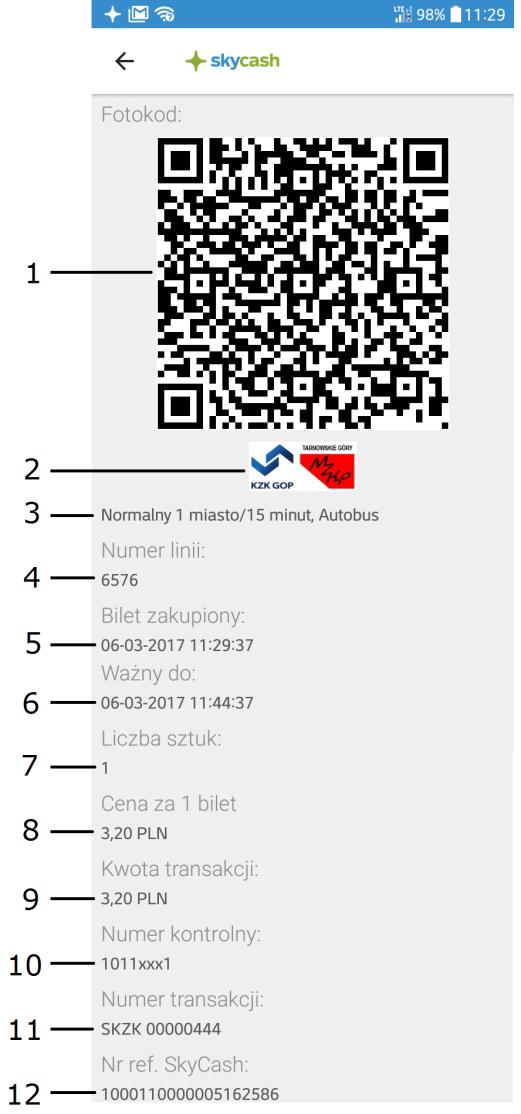 3. System SkyCash 3.1.