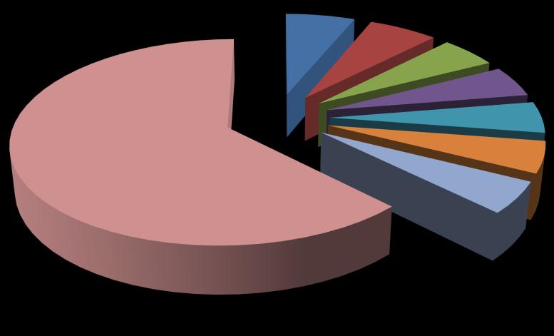 1.4. Akcjonariat Struktura akcjonariatu (powyżej 5%) Liczba akcji Liczba głosów Akcjonariat według liczby głosów [%] Akcjonariat według liczby akcji[%] Krzysztof Sowiński