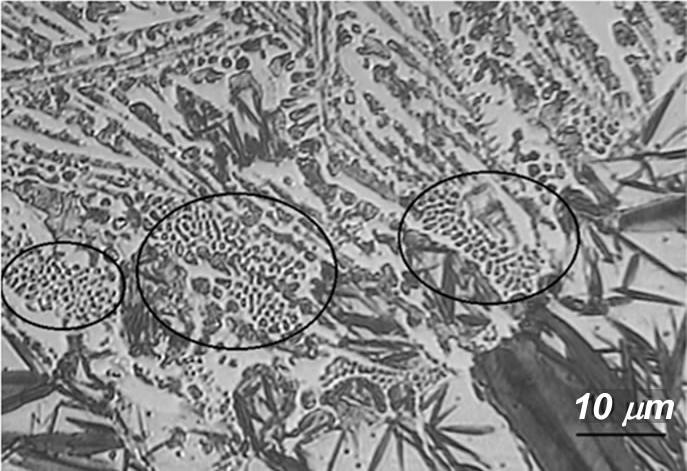 During this process the so-called: frozen crystallites [18] are formed at the walls.
