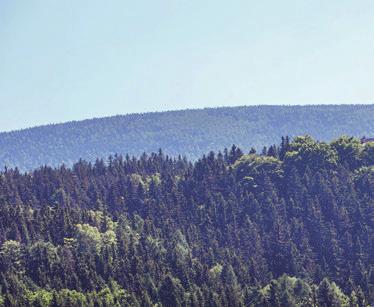 PAKIETY REKLAMOWE REKLAMA NA POLU GOLFOWYM ZAWARTOŚĆ PAKIETU: - flagi firmowe (huzary przy dołkach oraz flagi na masztach golfowych) - tee startowe dołków ILOŚĆ SZTUK I WYMIARY: - flagi nylonowe: 18