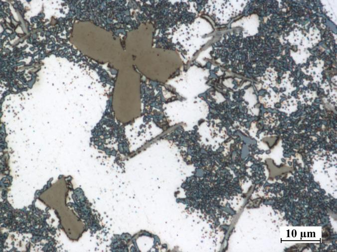 Microstructure of pressure die cast silumin with tungsten additions in an amount of: a) 0.1%; b) 0.2%; c) 0.3%; d) 0.
