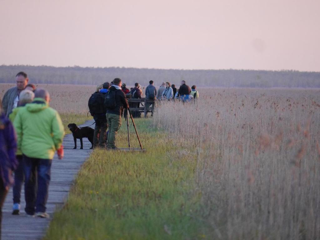 Kultura zrównoważonego rozwoju- umiejętność rozwijania