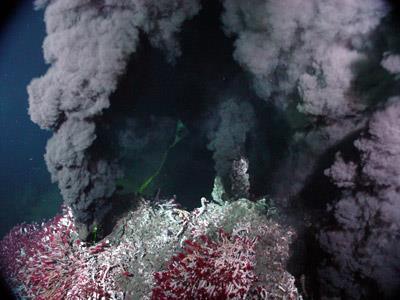 Kominy hydrotermalne