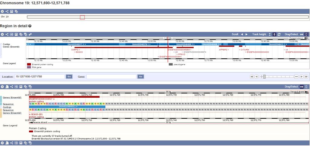 ENSEMBL