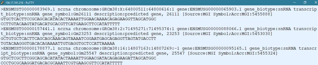 Non-coding RNA gene