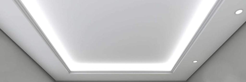 -Streifen/ strips/ LS48P 4,8/ 3528 LS48P/5000/.