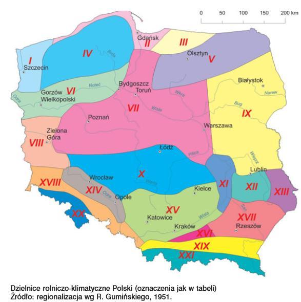 Poniższy wykres stanowi graficzną reprezentację danych zamieszczonych w Tabela 3.