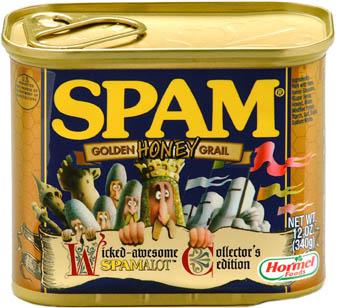 PROBLEMY KOMUNIKTORNICZNEJ SPAM Ø Jednym z większych problemów związanych z komunikacją elektroniczną jest SPAM Ø SPAM to nazwa konserwowej mielonki wieprzowej produkowanej nieprzerwanie od lat