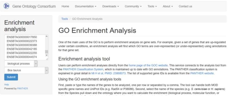 GO Enrichment Analysis
