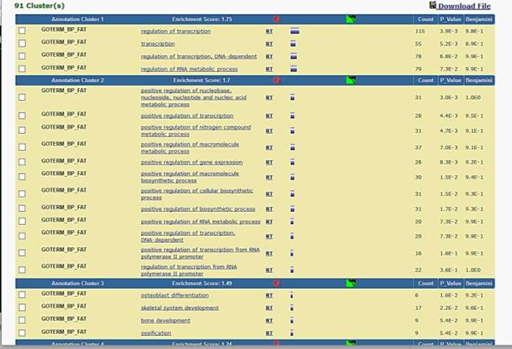 GO Enrichment Analysis Wyniki