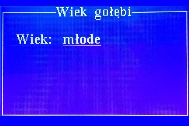 Przed rozpoczęciem sezonu użytkownik powinien wprowadzić dane o lotach na obowiązujący sezon, na podstawie Oddziałowego Planu Lotów.