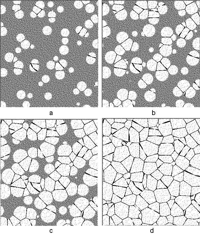 Rys. 6. Modelowana sekwencja tworzenia struktury żeliwa o składzie eutektycznym; a, b, c, d 25, 50, 75 i 00 % fazy stałej. Fig. 6. Predicted structure of the cast iron casting in the liquid-solid state (a, b, c: 25, 50, 75% of solid fraction) and after the solidification (d).