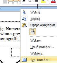 Należy dbać o ich wielkość. Z jednej strony muszą być czytelne, a z drugiej strony nie mogą być wielkie tylko dlatego, że obejmują mały wycinek ekrany. Trzeba dbać o ich skalę.