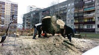 KOMUNIKATY I OGŁOSZENIA INFORMACJE OGŁOSZENIA KONKURSY Spacerkiem po Ustroniu Nowy Rok, nowe wyzwania, nowe problemy Zima przysypując śniegiem całe nasze osiedle kryje przed naszymi oczami wszelkiego