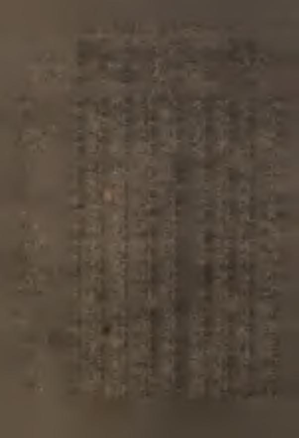 4 101,9 Hndel 936,2 593,1 303,8 88,3 154,5 46,5 1,6 341,4 895,6 558,6 294,9 71,0 151,4 41,3 1.1 335,9 c 95,7 94,2 97,1 80,4 98,0 88,8 68,7 98,4 Pozostło głęzie 790,3 507,2 300,2 65,6 85,6 55.