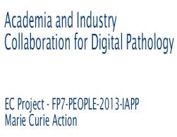 Action IC0604;