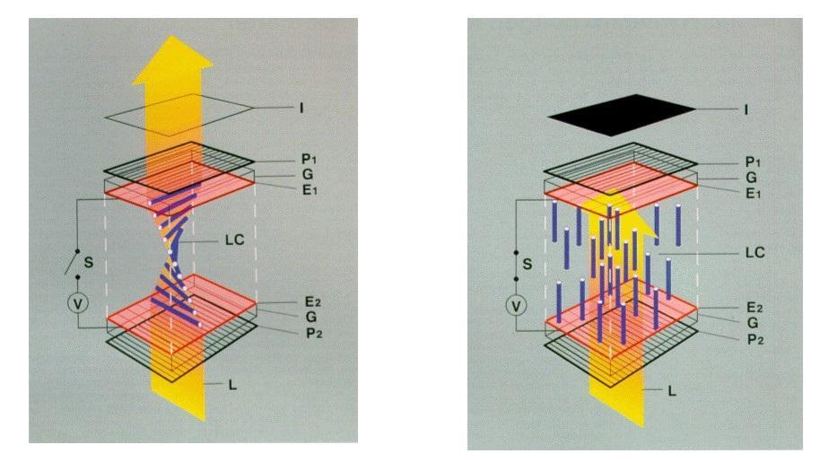 Wyświetlacz LCD Ciekłe kryształy Ang. Liquid Crystals.