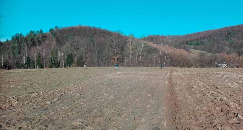 Dębiec) Surface field survey in the Tyrawa Valley, in the background, the Diabla Góra hillfort is visible (photo: M. Dębiec) Tyrawa Solna, stan. 12 w trakcie badań latem 2017 roku (fot. M. Dębiec) Nálezisko Tyrawa Solna 12 počas výskumu v lete 2017 (fot.