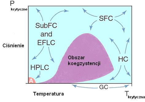 Chromatografia cieczowa Różne rozwiązania: chromatografia cieczowa z normalnym układem faz chromatografia cieczowa z odwróconym układem faz chromatografia wykluczania SubFC- Chromatografia z fazą