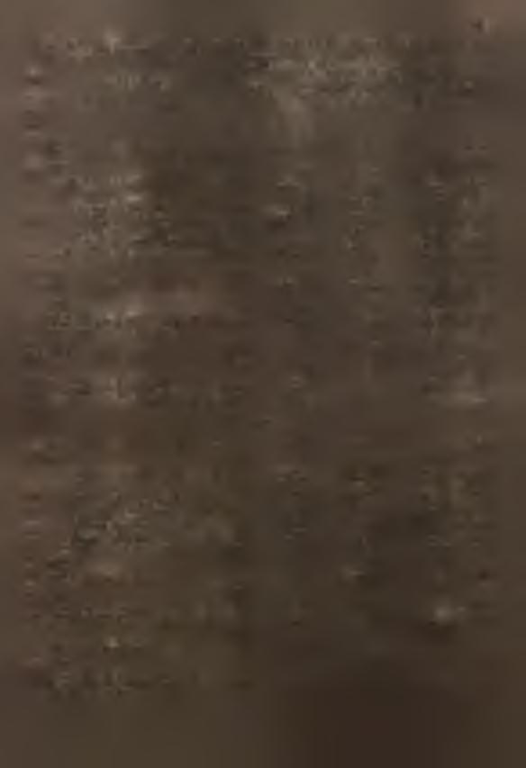 3' Ta b L. 4. Ua KTOSC p RUT TO SROOKUW TRWAŁYCH w GOSPODARCE USPOŁECZNONEJ WOJEWÓDZTW* WEoLUG Ma ST GMN v W CEN#.CH 7 983 «. / C.D, / w a r t o ś ć b r u t t u s r o o k o w t r w a ł y c h w m l n.