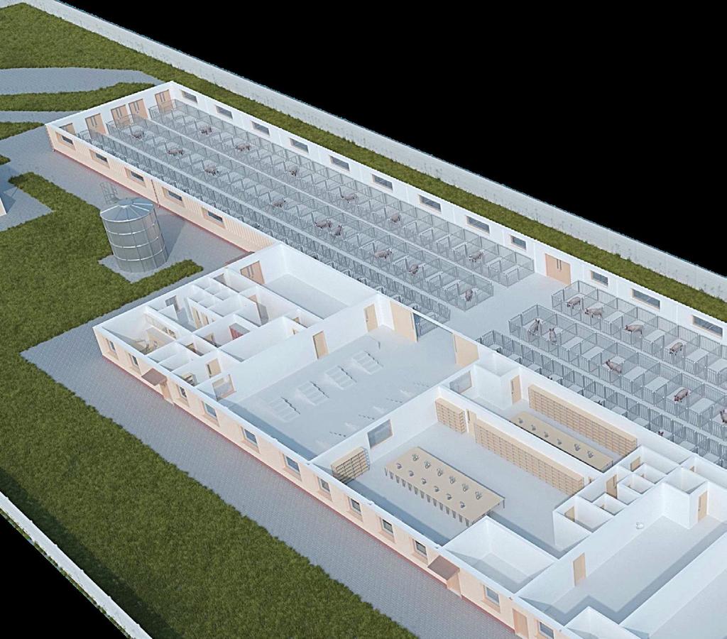 PROJEKT STRATEGICZNY BEZPIECZNE NASIENIE KNURA NA TLE WALKI Z ZAGROŻENIEM ASF Produkcja wieprzowiny, jak większość gałęzi współczesnego rolnictwa już od szeregu lat funkcjonuje na bardzo trudnym,