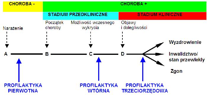 Fazy profilaktyki chorób a fazy rozwoju choroby WCZESNA I Wadliwe żywienie Brak aktywności fizycznej Palenie papierosów Czynniki