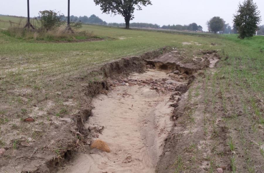 Zmiany klimatu a zagrożenia dla