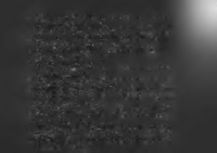552 = NSV 15775, 2.87 +/- 0.00 V, Type VAR: 08 11 13 19 41 43 R 545 B6 4.lv 99-171 44 108 72S 213 253 226-0.8-5.6 +0.2+2.5.417-141 3 46 19.