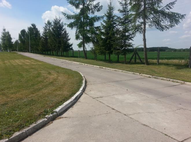 W przypadku, gdy realizacja Robót w sposób zaproponowany przez Wykonawcę i zatwierdzony przez Zamawiającego będzie wymagała usunięcia drzew i/lub krzewów Wykonawca, z upoważnienia Zamawiającego,