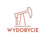 krajów % 20% 4% 30% 37% 9% Downstream Detal Wydobycie Funkcje CAPEX korporacyjne 3M19 Główne projekty
