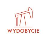 krajów % 20% 4% 30% 37% 9% Downstream Detal Wydobycie Funkcje CAPEX korporacyjne 3M19 Główne projekty