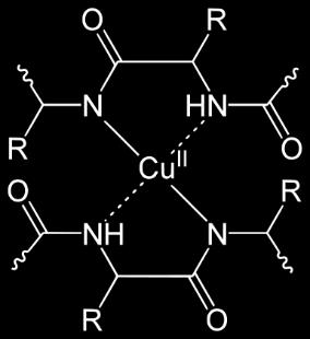 9. Peptydy PÓBA BIUETOWA Próba biuretowa polega na tworzeniu się w środowisku alkalicznym barwnego związku kompleksowego miedzi z peptydami zawierającymi w swojej cząsteczce co najmniej dwa O H