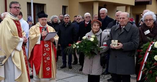 6 Płyta