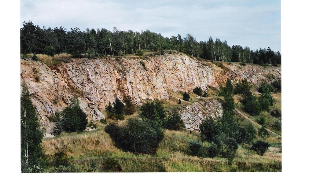 Rezerwat przyrody Dawna kopalnia