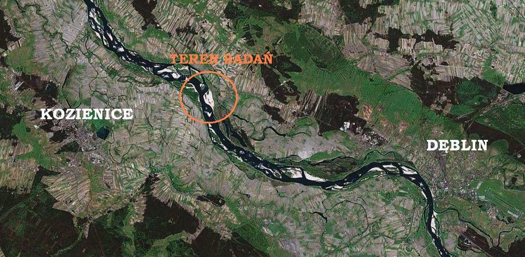 Teren badań Badania prowadzono na nieuregulowanym fragmencie koryta Wisły, w jej środkowym biegu, 15 km w dół rzeki od Dęblina w okolicy miejscowości