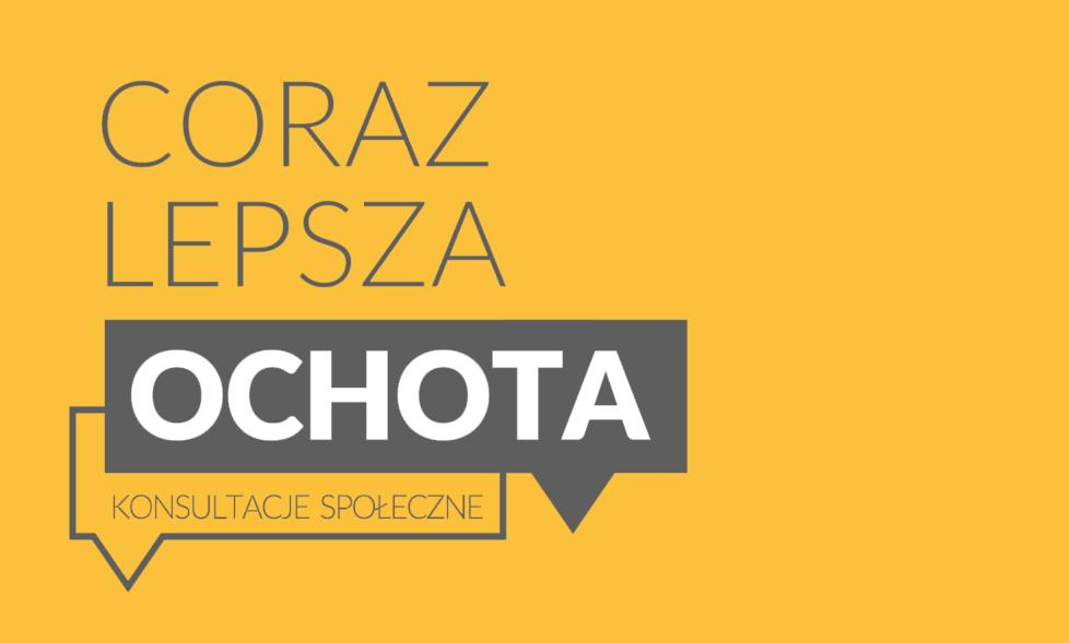 RAPORT Z KONSULTACJI SPOŁECZNYCH luty 2019