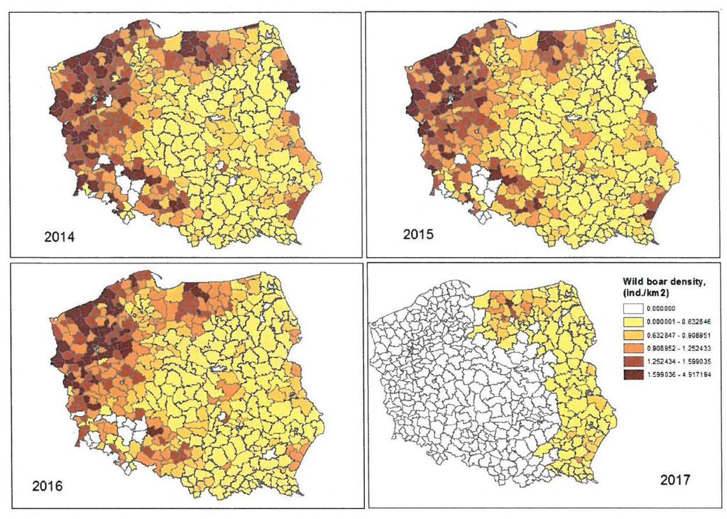 Gęstość populacji dzików w latach 2014 2017 w różnych regionach