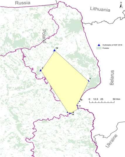 Faza II Rozpoczęła się w populacji świń 27.06.2016 i trwała do 30.09.2016 (około 3 miesiące). W tym czasie zarejestrowano 20 ognisk choroby.