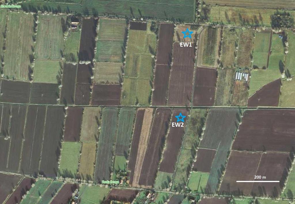 2) w przypadku ptaków łącznie: a) 0,115 +/- 0,056 os/mw/rok, b) stwierdzona kolizyjność w Norwegii, Belgii, Hiszpanii, USA, na farmach o mocy łącznie 1.370 MW, (6.