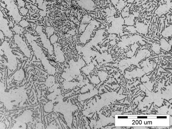 2% modyfikatora chodzonego z cieczy z prędkością 200 o C/s, traw Fig. 3. Microstructure of alloy AK7 after treatment 0.2% modifier cooled from liquid with 200 o C/s, etching with Rys. 4.