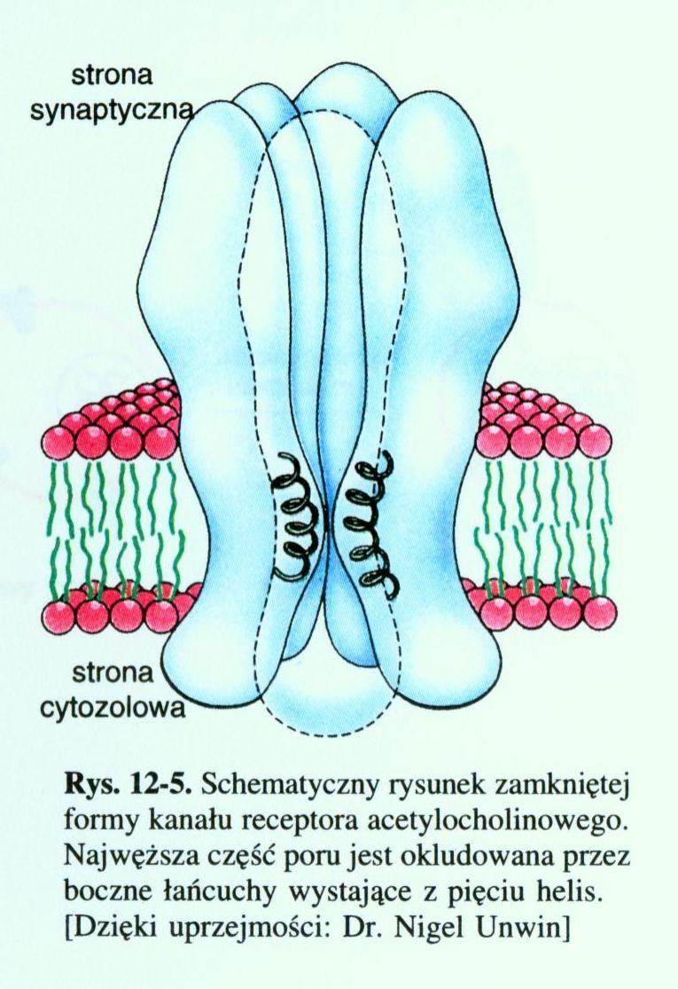 nieprzepuszczalna Nanopory i