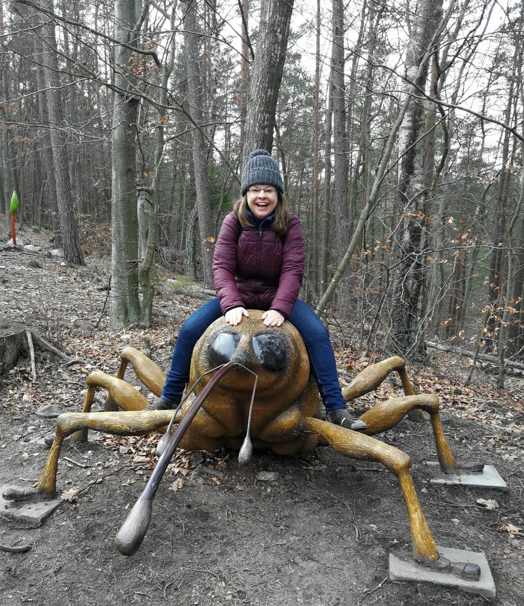 14. Leśny Ogród Botaniczny Marszewo Marszewo to dzielnica Gdyni w dużej większości pokryta lasem. Najłatwiej dojechać tu samochodem, ale przy ogrodzie jest też przystanek autobusowy.