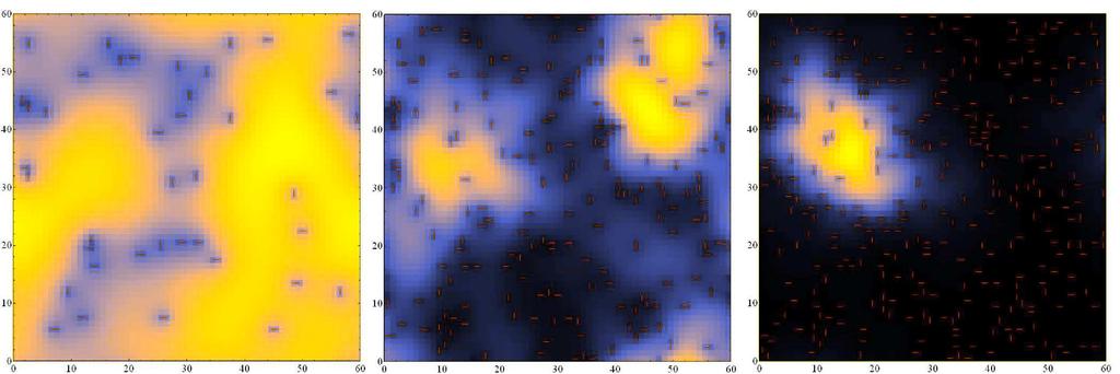 MERW: localisation Localisation of the stationary probability distribution in the largest spherical Lifshitz region.