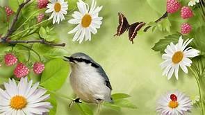 Note, this is an afternoon meeting so we avoid the cold and dark of winter. Our guest speaker will be Master Gardener and Certified Naturalist, Marian Thill.