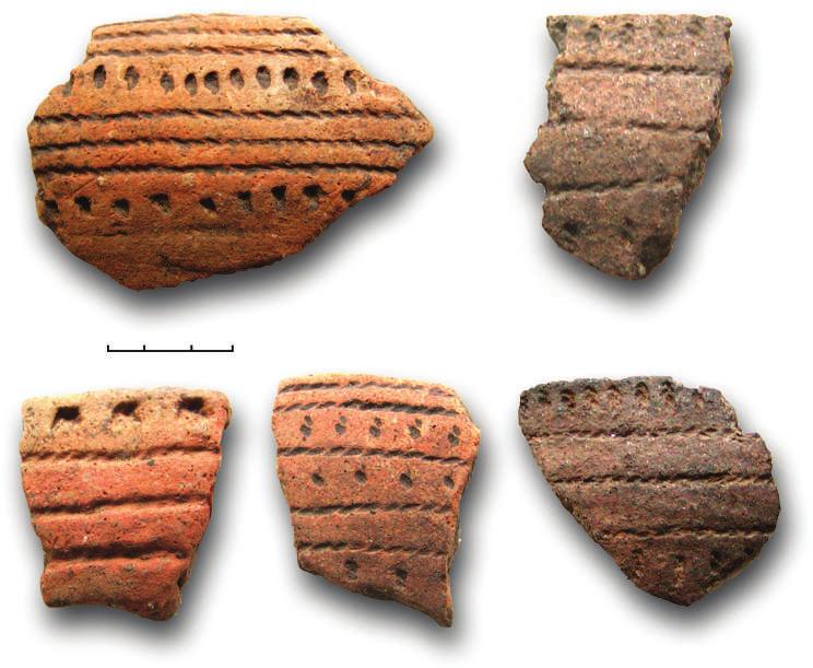 116 F i g. 4. Fragments of pots with cord impressions, Sandraki settlement (excavation by O.F. Lagodovska) clay coating. Most of the clay mass was of reddish hue and lay in a solid layer up to 0.