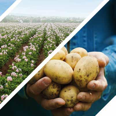 Zorvec Enicade FUNGICYD Zorvec : informacja dla producentów ziemniaków w Europie Zorvec (oksatiapiprolina) jest fungicydem nowej klasy zapewniającym wyjątkową i długotrwałą ochronę przed chorobami
